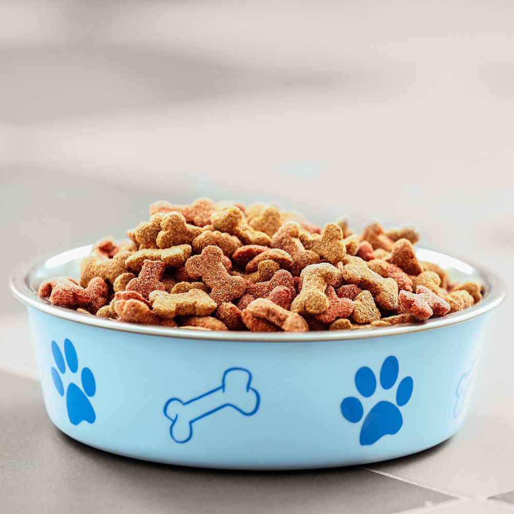 Feeding & Bowls